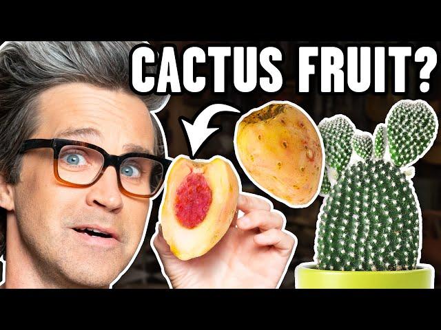 Exotic Fruits Taste Test