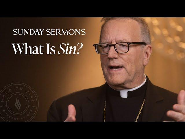 What Is Sin? - Bishop Barron's Sunday Sermon