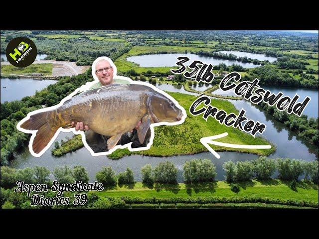 294, 35lb Cotswold Cracker, Aspen Syndicate Diaries 39