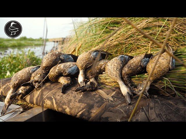 Teal Hunting in South Louisiana | HUNT, CLEAN, COOK!