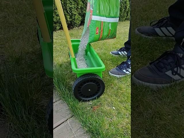 Czy nawozić trawnik wiosną? #ogrody #trawnik #poradnikogrodniczy #poradyogrodnicze #nawozy #wiosna