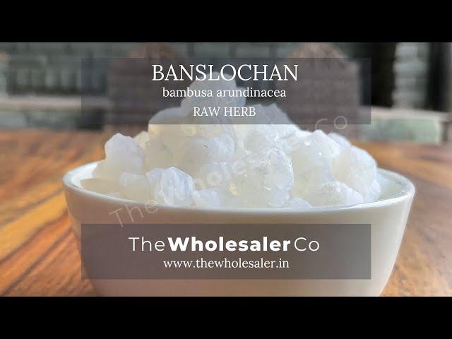 BANSLOCHAN- Bambusa Arundinacea- TheWholesalerCo