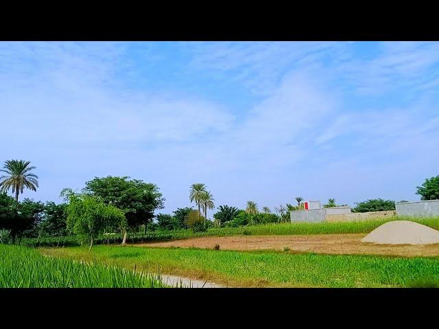 Most Beautiful Village In Punjab | Village Life In Pakistan