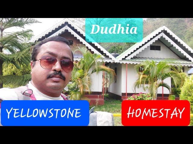 Resort in Dudhia | YELLOWSTONE Homestay | Offbeat Destination Near Siliguri. Amit Travlog