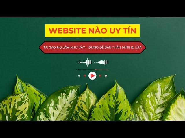 AI đã h.a.c.k KÊNH THẦY DƯƠNG BACCARAT | TRẦN THÁI DƯƠNG| BACCARAT
