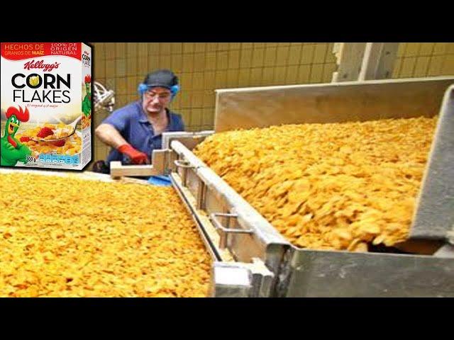 Mass Production of CORN FLAKES| How Corn Flakes Are made In Factory