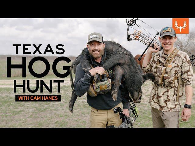 Steve and Cam Hanes Hunt Wild Pigs