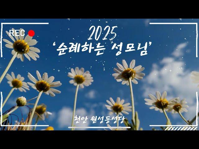 [감동 주의!!!] 2025년 아주 특별한 성모의 밤: "순례하는 성모님" 영상. 천안 원성동 성당 홍보 분과 제작