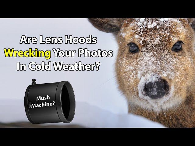 Are Lens Hoods Wrecking Your Photos In Cold Weather?