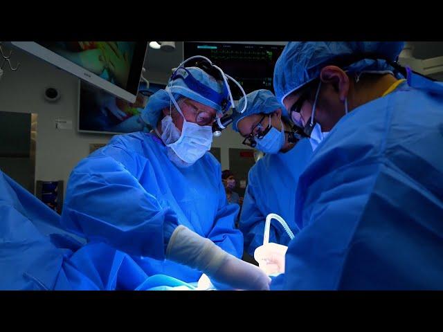 Alabama woman doing well after latest experimental pig kidney transplant  | VOA News