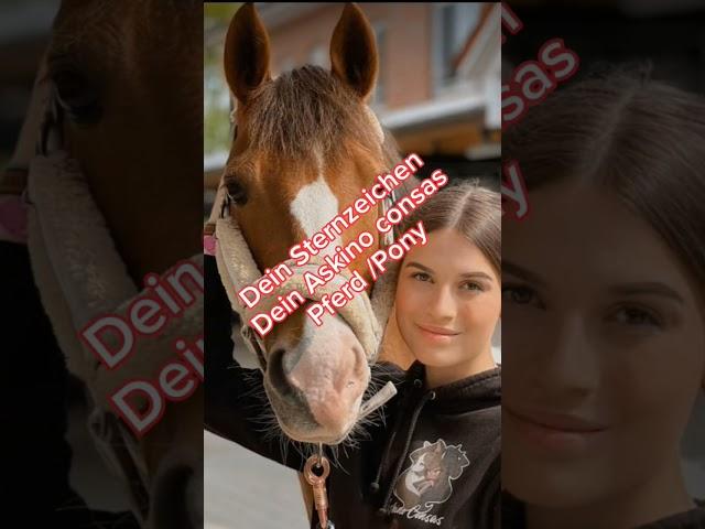 Dein Sternzeichen = dein Askino consas Pferd / Pony  # #love #askino cansas