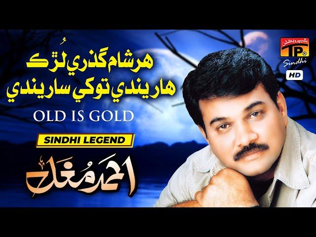 Har Sham Guzre Lurk Harinday Tokhe Sarinday | Ahmed Mughal | TP Sindhi