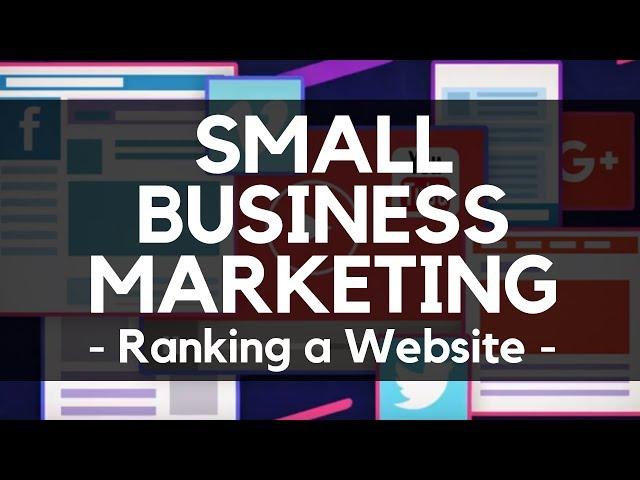 Small Business Marketing from ProfileTree Digital Agency