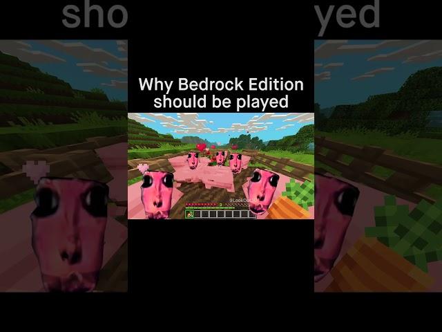 Minecraft Meme