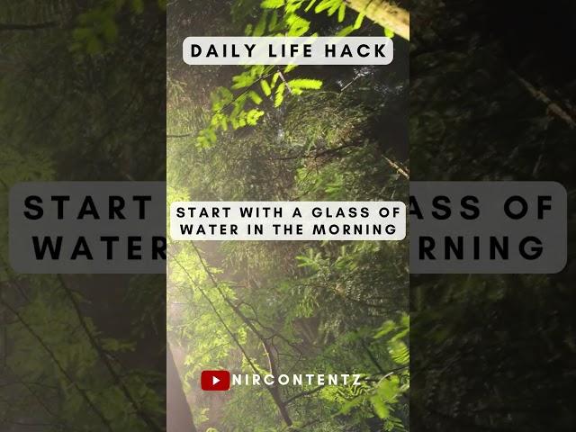 How to Increase Your Water Intake