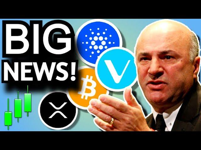 BIG CRYPTO NEWS - SAMSUNG CARDANO ADA - VECHAIN STABLECOIN VEUSD - WONDERFI BITBUY ACQUISITION