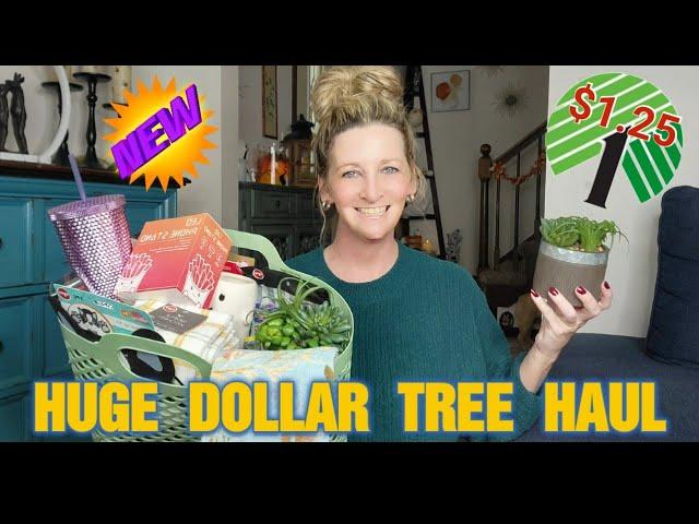 INCREDIBLE Dollar Tree Haul | ALL NEW & NAME BRANDS | More details