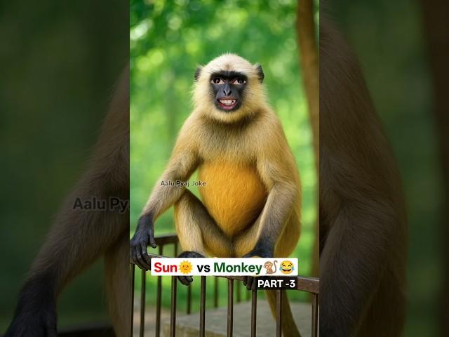 Sun vs Monkey  || PART -3 || #funny #thetharpuns #aalupyajjoke #comedy