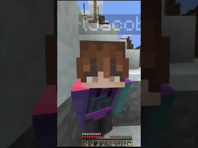 Technoblade JUMPSCARED Quackity and KarlJacobs in minecraft