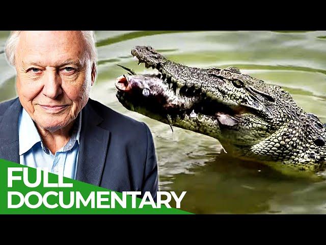 David Attenborough's Wild City | Episode 1: Hidden Wild | Free Documentary Nature