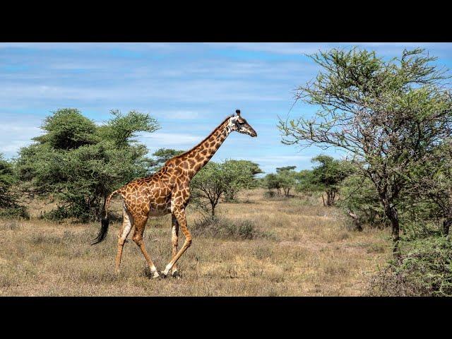 Photography Tours in 2020: With Andrew Goodall / Nature's Image Photography