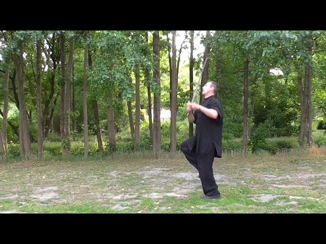 Drachenschwert (Long Jian) 2018