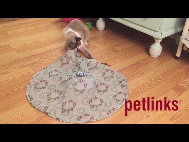 Petlinks Mystery Motion from Worldwise