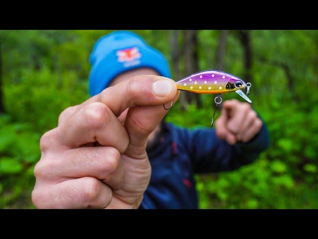 This Japanese Trout Lure Is ABSOLUTELY LETHAL! (4K)