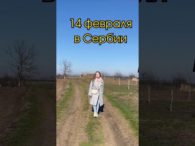 Как отмечают 14 февраля в Сербии. День святого Трифуна