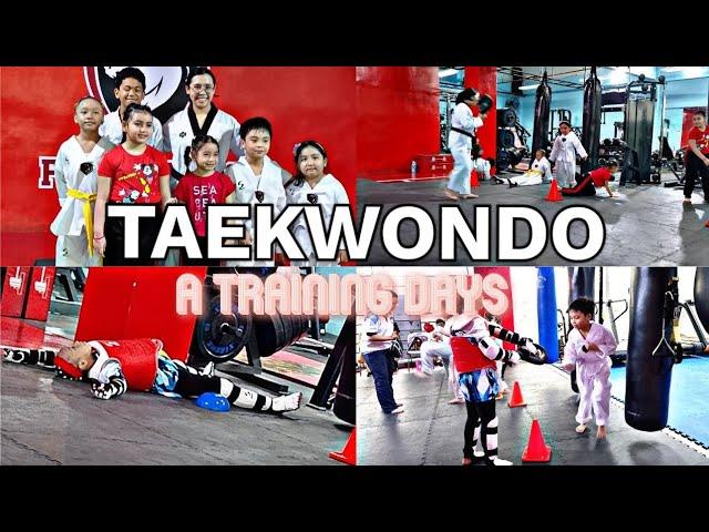 Taekwondo ( A Training Days ) || Stephanie Noppies ||