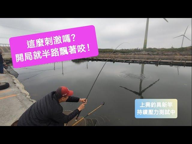 【福壽魚之章】這場太刺激了！開局就半路一直飄著咬！「上興釣具新釣竿，持續壓力測試中」