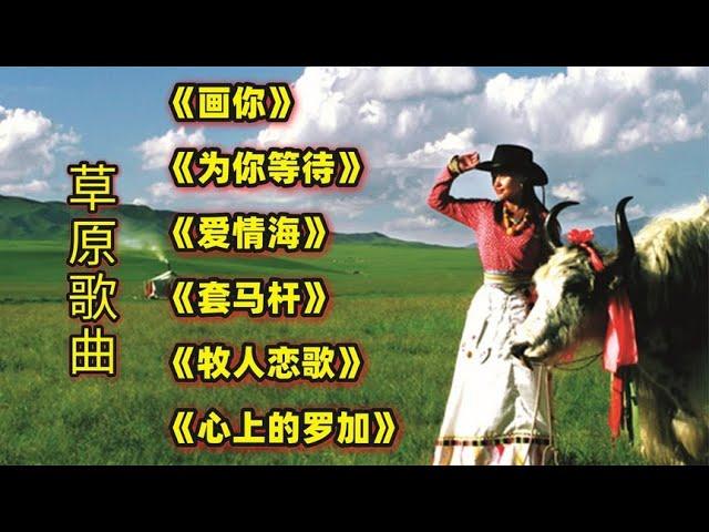 草原歌曲《画你》《为你等待》《爱情海》《套马杆》《牧人恋歌》