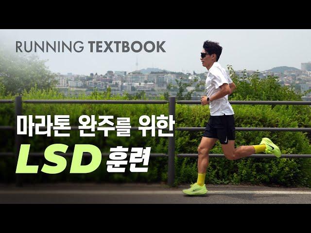 성공적인 마라톤 완주를 위한 LSD 훈련 | RUNNING TEXTBOOK #5