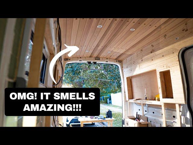 PERFECT van Roof and Walls | Ford Transit Conversion