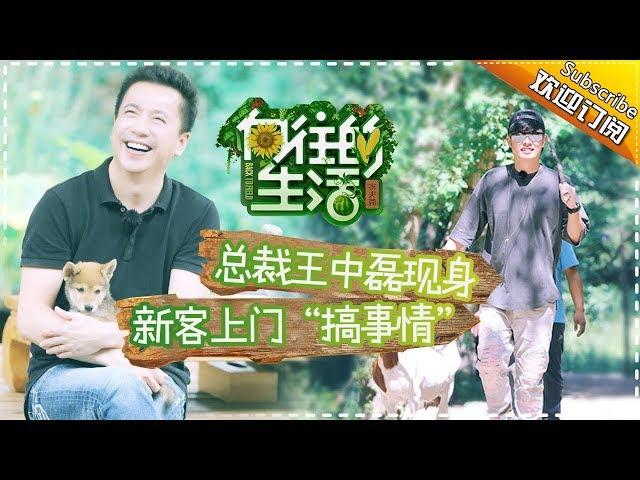 《向往的生活》第2期 总裁王中磊现身造访！新客人上门“大闹”蘑菇屋？Back to field S1 EP2【芒果TV生活风尚频道】