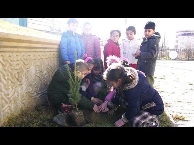 Ekolojik Mini Bahçe Ağaç Dikim Çalışması (Kastamonu Gülbahçe Anaokulu Farkı ile)