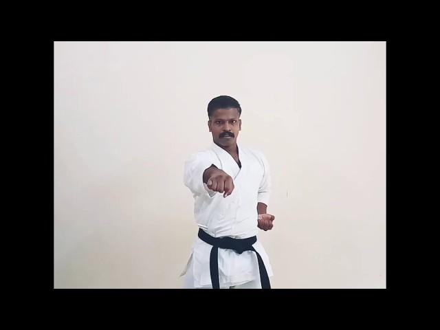 Karate Punches and Strikes/Choku Zuki, Jodan Zuki, Chudan Zuki, Gedan Zuki In Malayalam