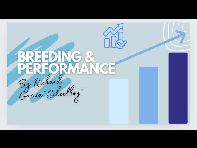 Breeding and Performance by Richard Garcia Schoolboy