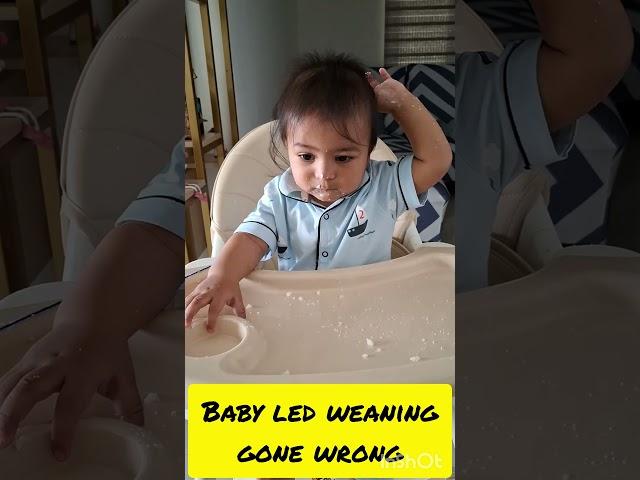 When your baby refuses to eat by himself. Baby led weaning does not work everyday. #blw #9monthbaby