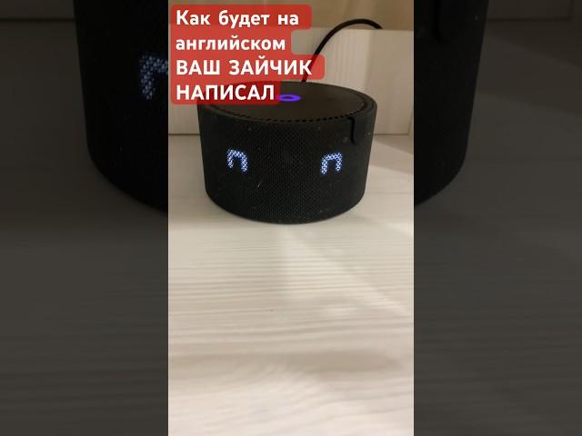 Алиса отвечает на вопросы #4 как будет на английском Ваш зайчик написал
