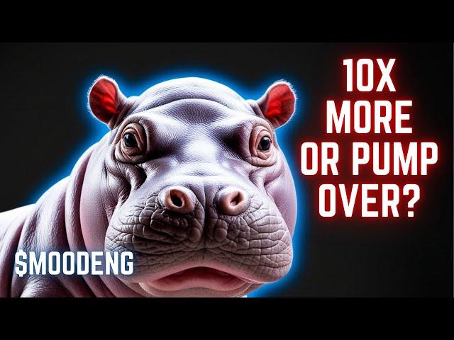 Will MOODENG Memecoin Pump To 1 BILLION Dollars? [Moo Deng Meme LIVE Analysis]