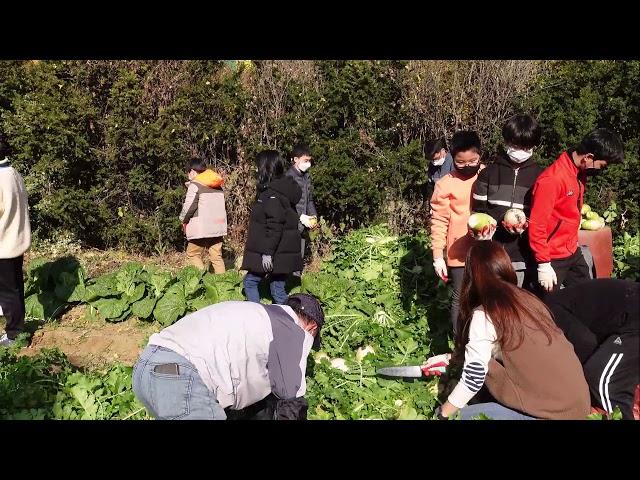 학교텃밭체험(무수확 활동)