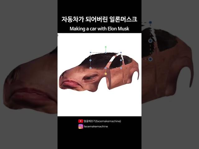 자동차가 되어버린 일론머스크