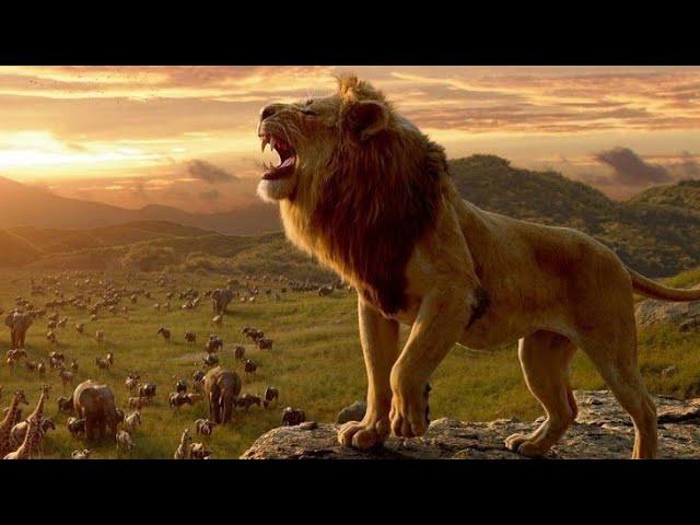 शेर की असली दहाड़ ! The Lion King !Sher Ki Dahad !Whatsapp Status !Lion Roar Status video शेर का आवाज