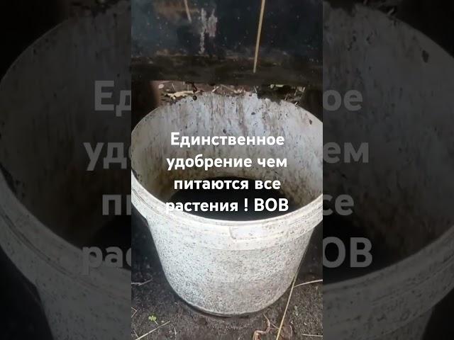 Супер удобрение Жидкий биогумус концентрат Эффективное удобрение