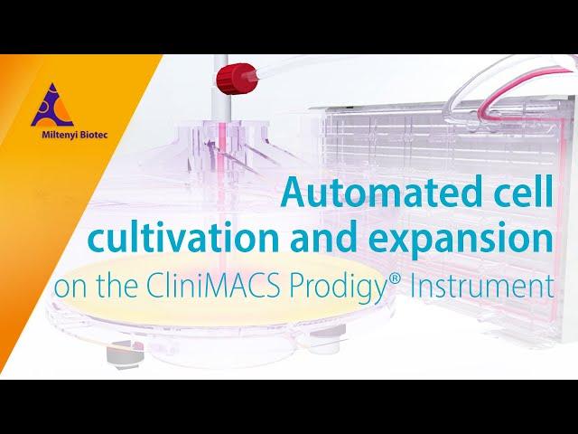 Cell cultivation and expansion on the CliniMACS Prodigy®