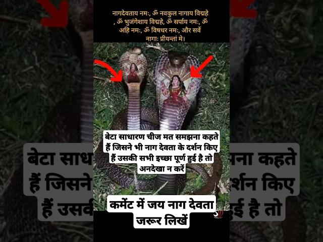 नाग देवता के दर्शन को अनदेखा न करें #vishnu #vishnupurana #vishnumantra