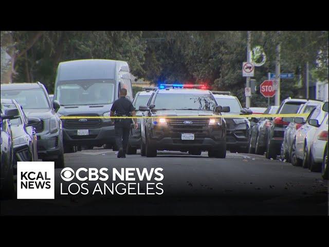 LAPD shoots domestic violence suspect after pursuit ends in West Adams