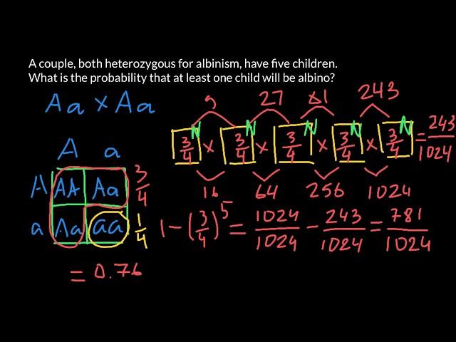 How to solve simple probability problems in genetics