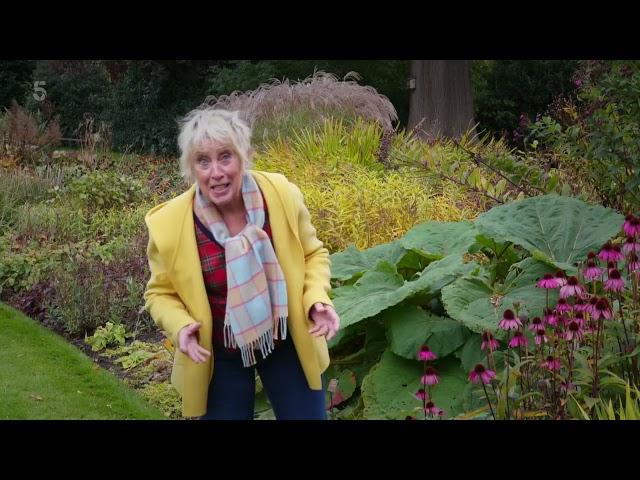 Great British Gardens with Carol Klein S02E03